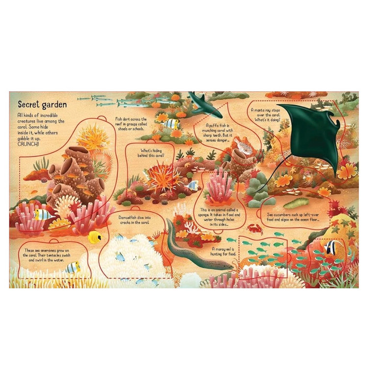 کتاب علمی صخره های مرجانی look inside coral Reef