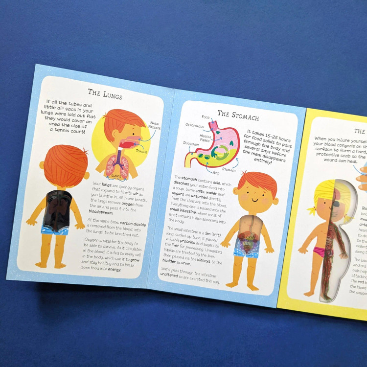 کتاب بدن شگفت انگیز انسان Human body