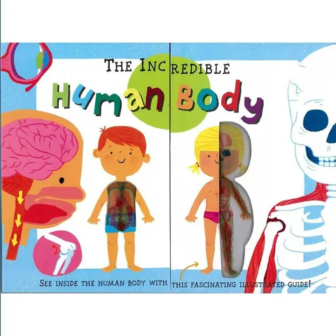 کتاب بدن شگفت انگیز انسان Human body