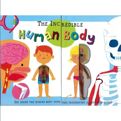 کتاب بدن شگفت انگیز انسان Human body